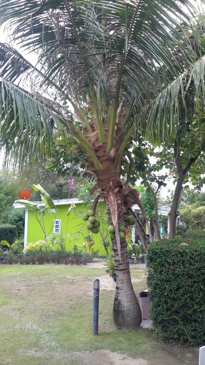 体育酒吧和度假酒店 Pak Chong 外观 照片